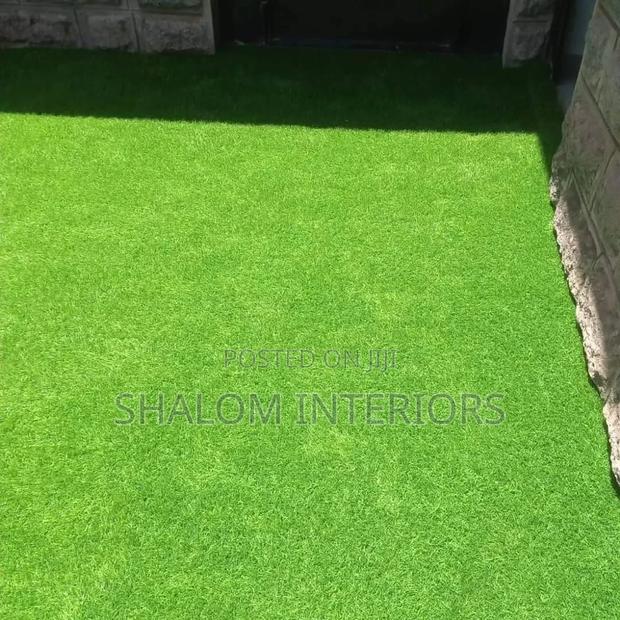 Turf Grass Turf Grass Turf Grass Turf Grass Turf Grass