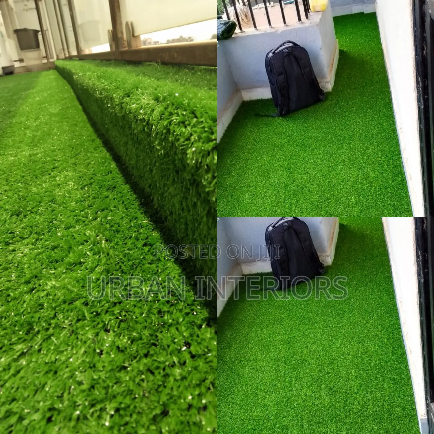 Grass Carpet Grass Carpet Grass Carpet Grass Carpet