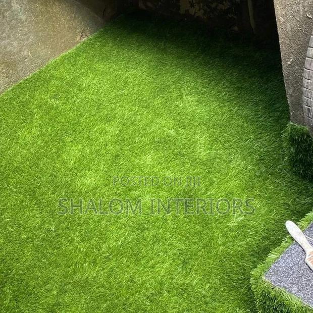 Turf Grass Turf Grass Turf Grass Turf Grass Turf Grass