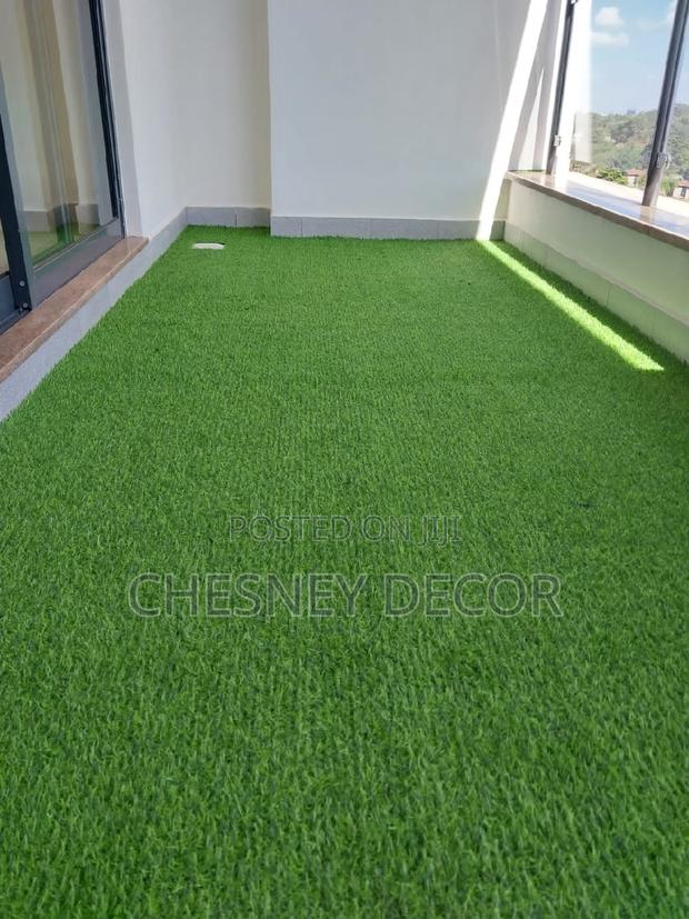 Turf Grass Turf Grass Turf Grass Turf Grass Turf Grass
