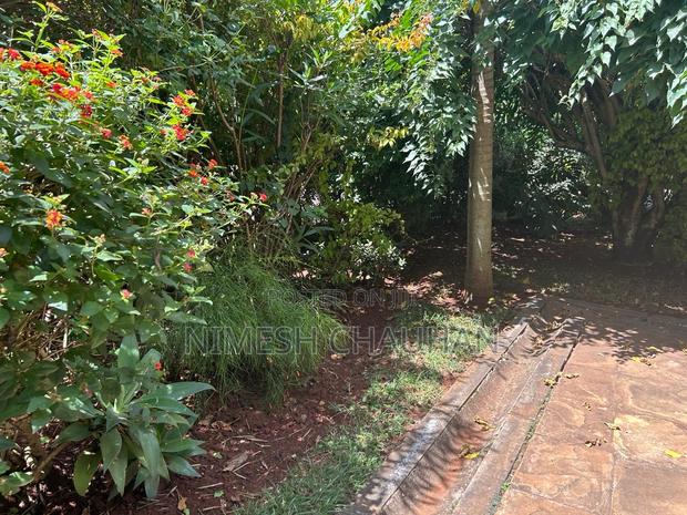 South C 50 by 100 Plot - main view