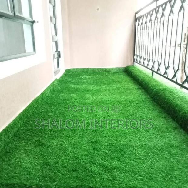Turf Grass Turf Grass Turf Grass Turf Grass Turf Grass