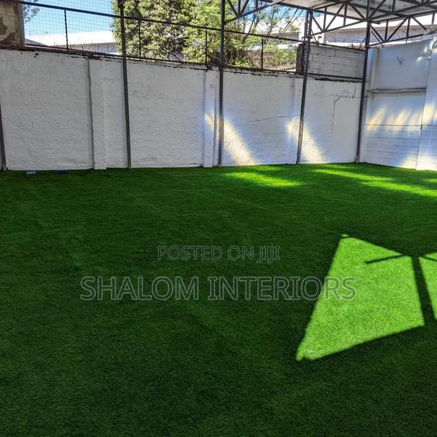 Turf Grass Turf Grass Turf Grass Turf Grass Turf Grass