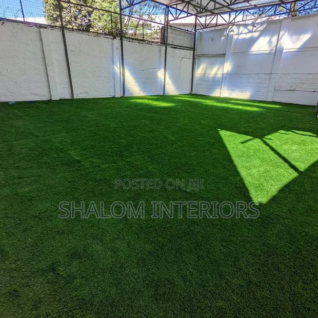 Grass Carpet Grass Carpet Grass Carpet Grass Carpet