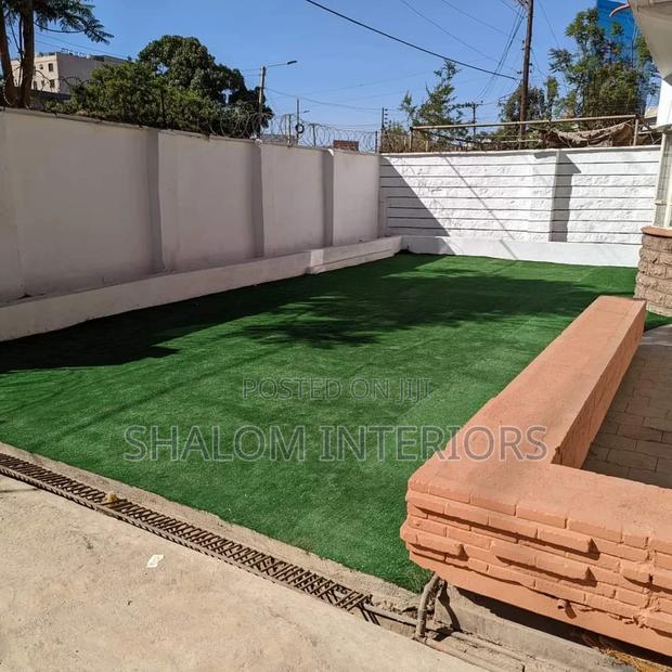 Turf Grass Turf Grass Turf Grass Turf Grass Turf Grass