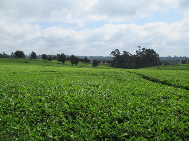Blocks of Land for Sale in Cianda Area, Kiambu