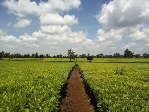 Blocks of Land for Sale in Cianda Area, Kiambu