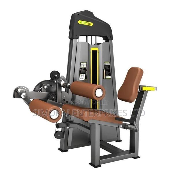 Leg Extension Curl - main view