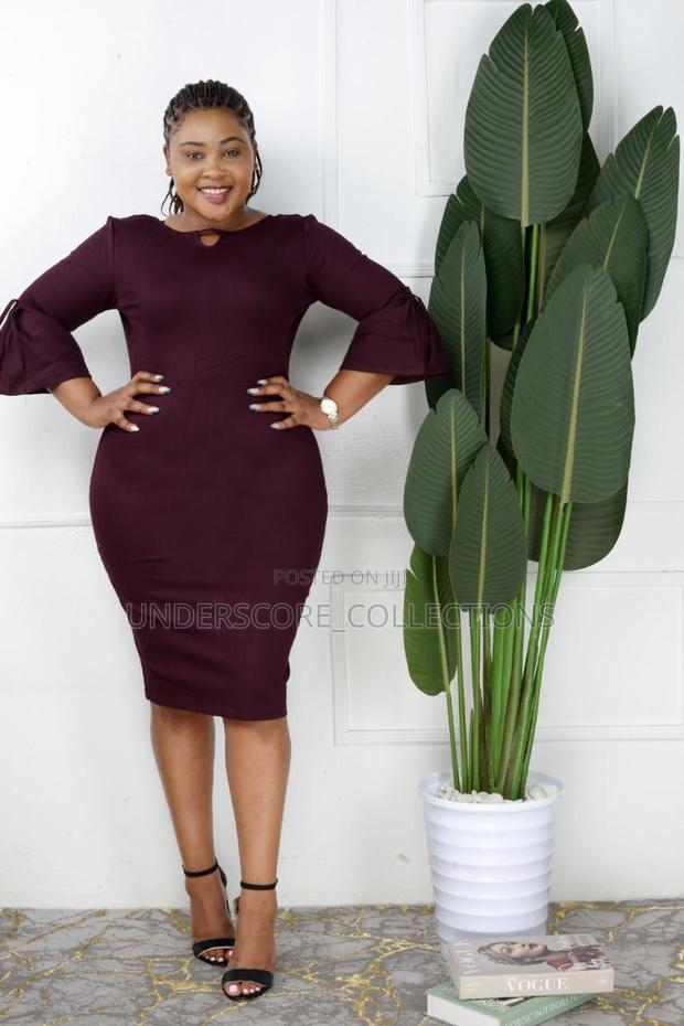 Ladies Smart Official/Casual Bodycon Dresses