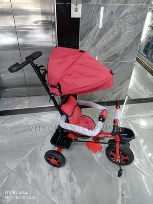 Tricycle With Canopy - thumbnail 2