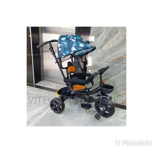 Tricycle Push With Canopy - thumbnail 2