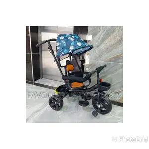 Tricycle Push With Canopy