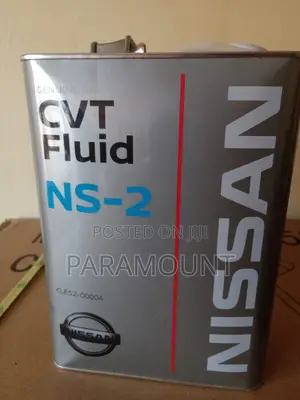Nissan NS-2 Fully Synthetic Fluid.