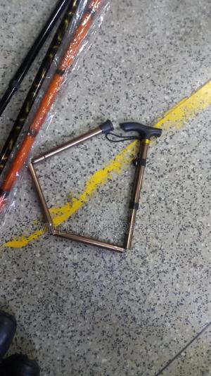 Walking Stick Folding - main view