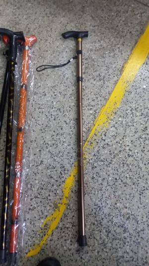 Walking Stick - main view