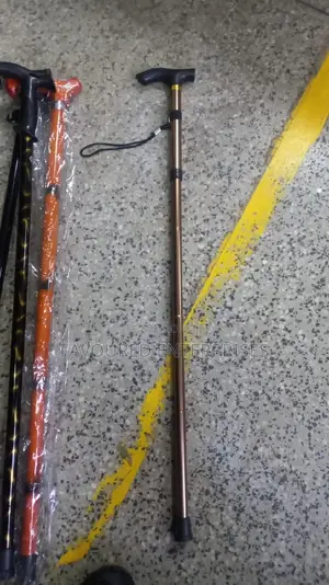 Walking Stick
