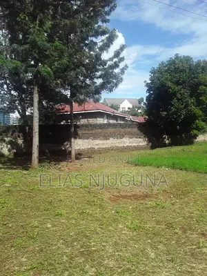 Westland PLOT 130"×100" Acre(0.1333ha.) for Sale With Title.
