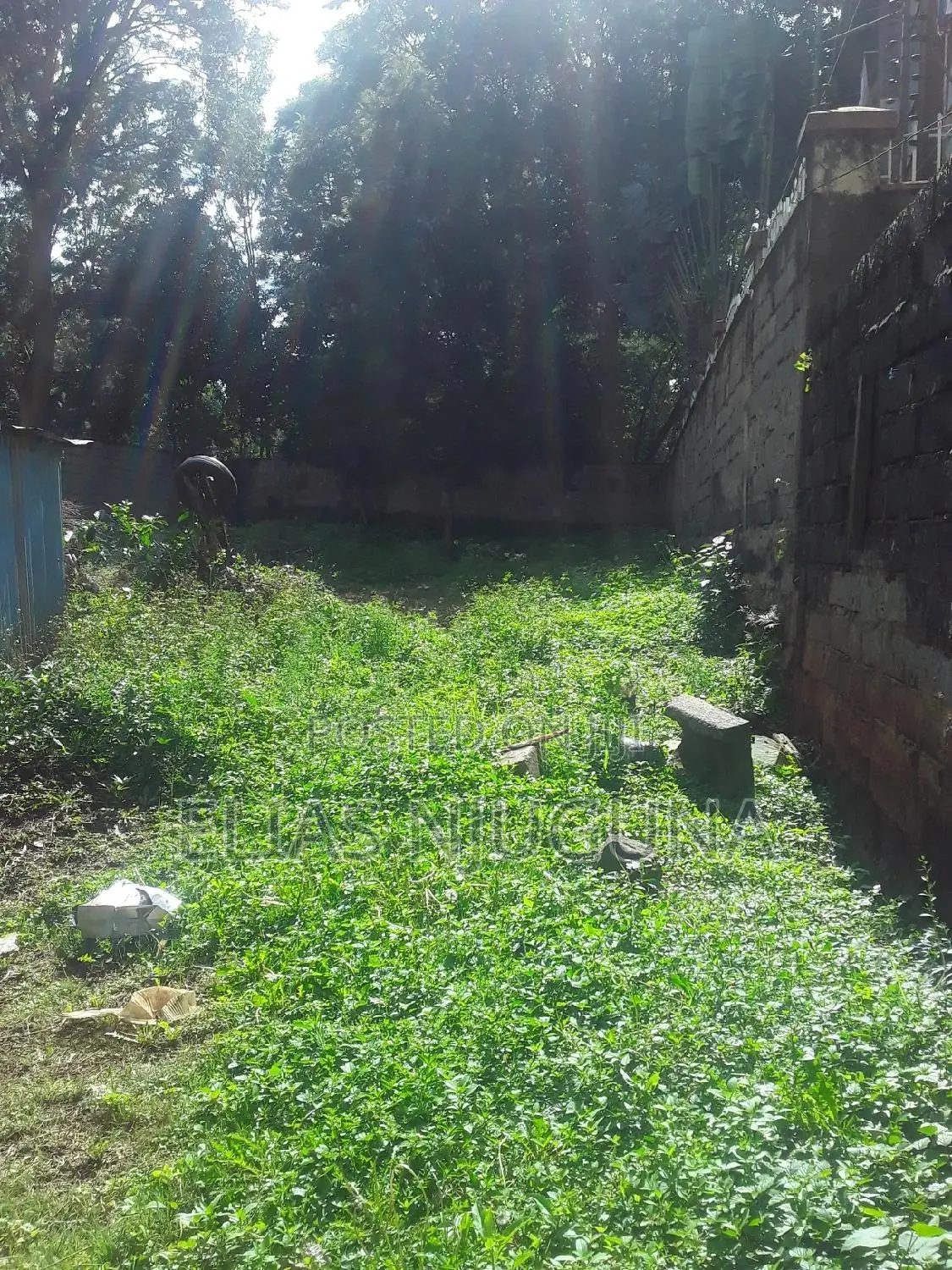 Westland PLOT 130"×100" Acre(0.1333ha.) for Sale With Title.