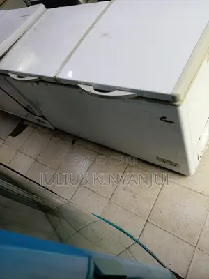 Deep Freezer 500 Litres