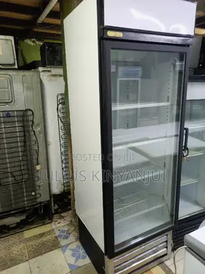 Display Fridge 600L