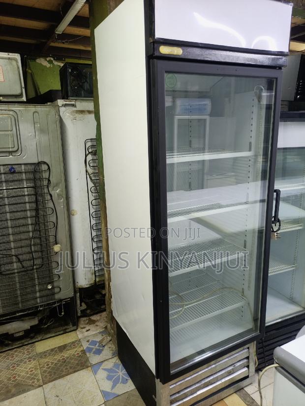 Display Fridge 600L