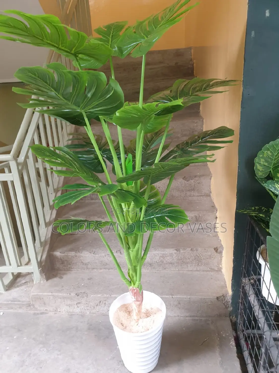 1.6m Long Artificial Monstera Plant With Plastic Vase