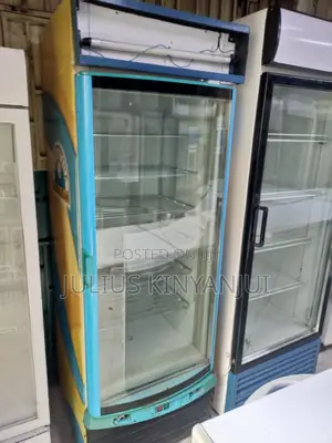 Display Freezer 500l