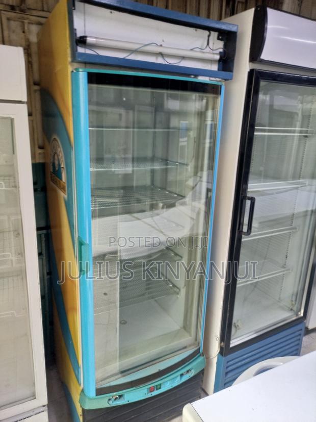 Display Freezer 500l