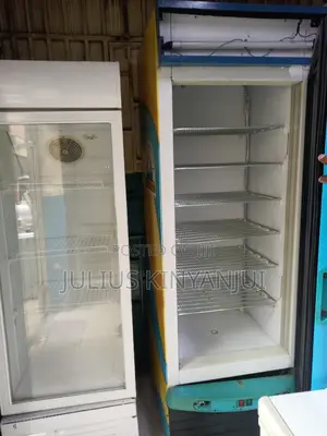 Display Freezer 500l