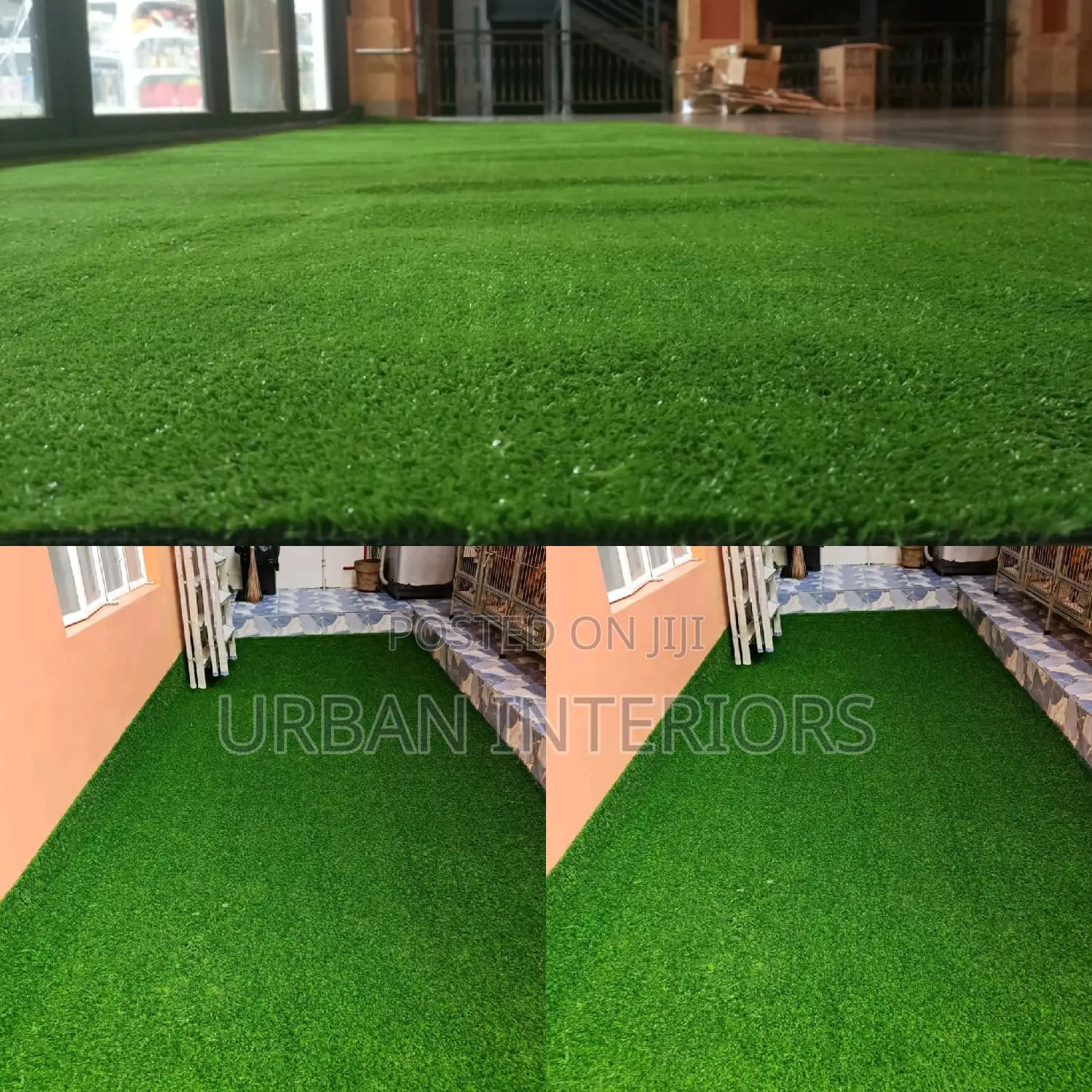 Grass Carpet Grass Carpet Grass Carpet Grass Carpet