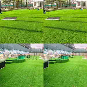 Grass Carpet Grass Carpet Grass Carpet Grass Carpet