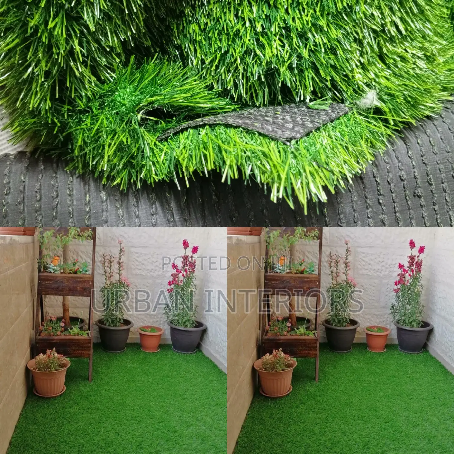Grass Carpet Grass Carpet Grass Carpet Grass Carpet