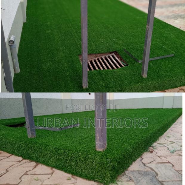Grass Carpet Grass Carpet Grass Carpet Grass Carpet