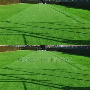 Grass Carpet Grass Carpet Grass Carpet Grass Carpet