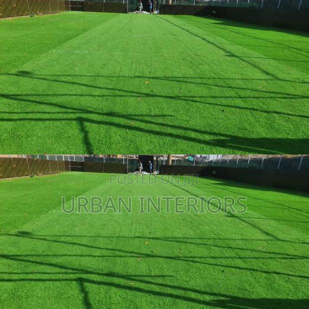 Grass Carpet Grass Carpet Grass Carpet Grass Carpet - main view