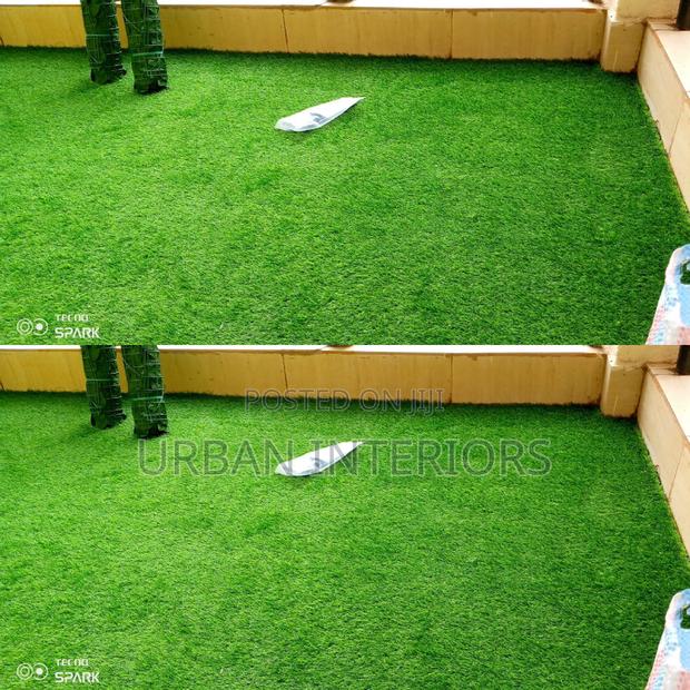 Grass Carpet Grass Carpet Grass Carpet Grass Carpet