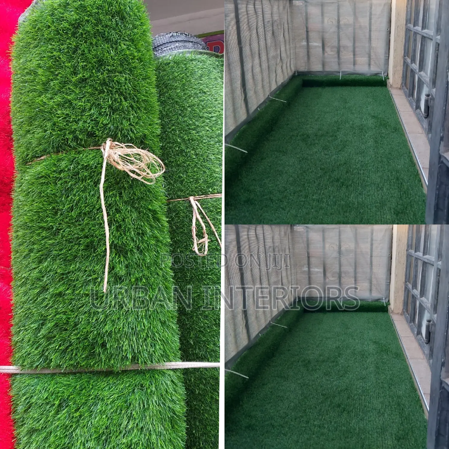 Grass Carpet Grass Carpet Grass Carpet Grass Carpet