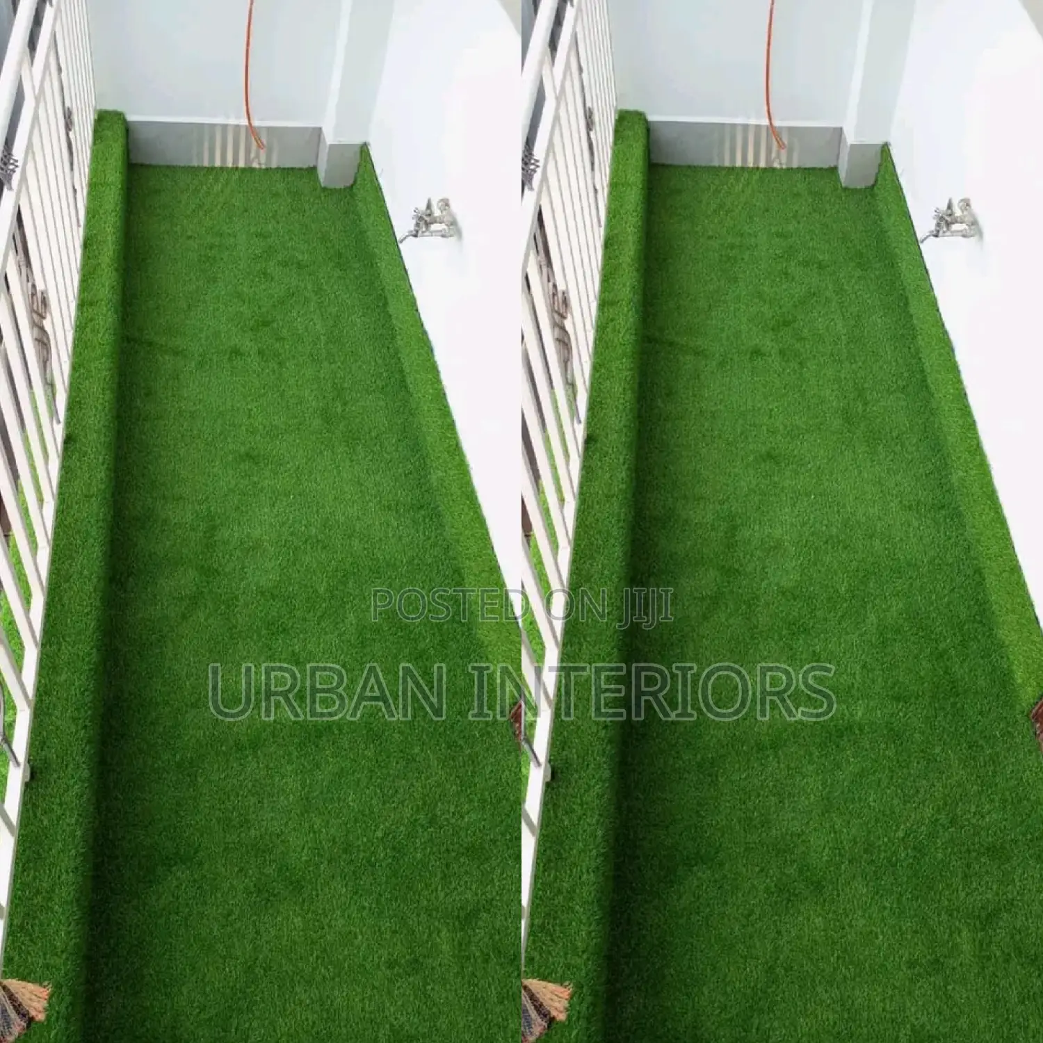 Grass Carpet Grass Carpet Grass Carpet Grass Carpet