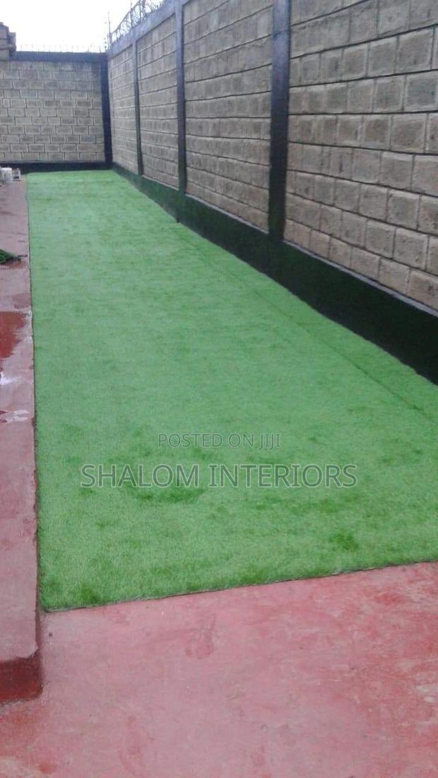 Turf Grass Turf Grass Turf Grass Turf Grass Turf Grass - main view