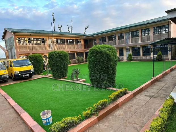 Grass Carpet Grass Carpet Grass Carpet Grass Carpet