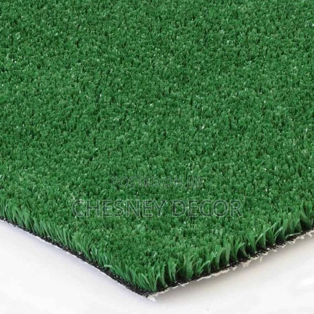 Turf Grass Turf Grass Turf Grass Turf Grass