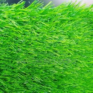 Turf Grass Turf Grass Turf Grass Turf Grass Turf Grass - thumbnail 2