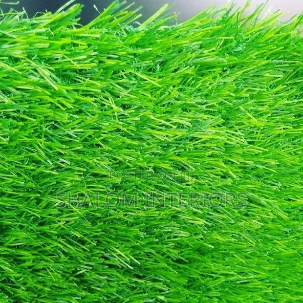 Turf Grass Turf Grass Turf Grass Turf Grass Turf Grass - main view