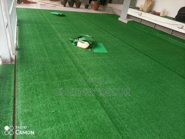 Turf Grass Turf Grass Turf Grass