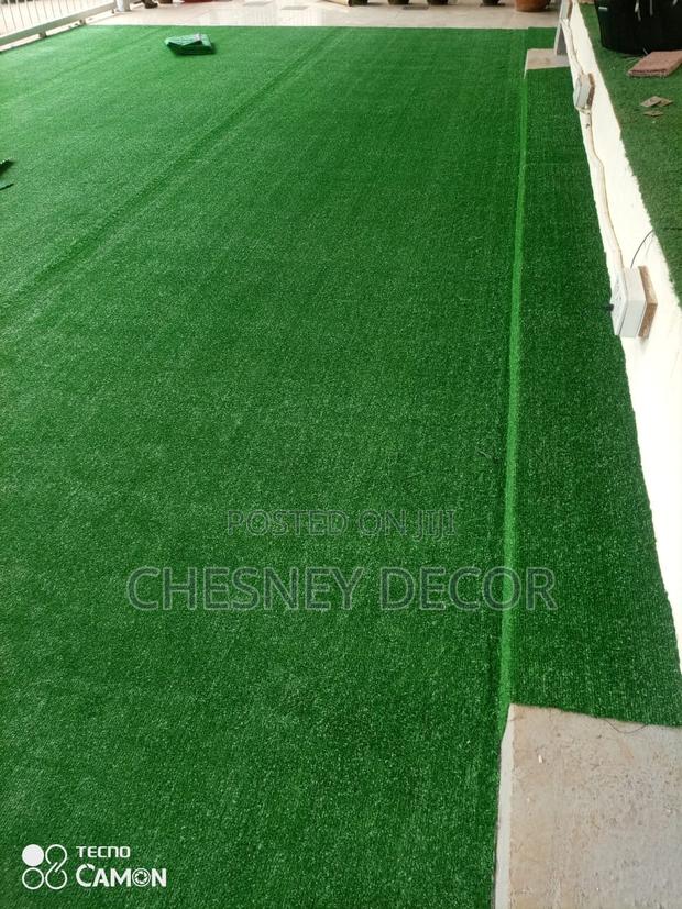 Turf Grass Turf Grass Turf Grass - main view