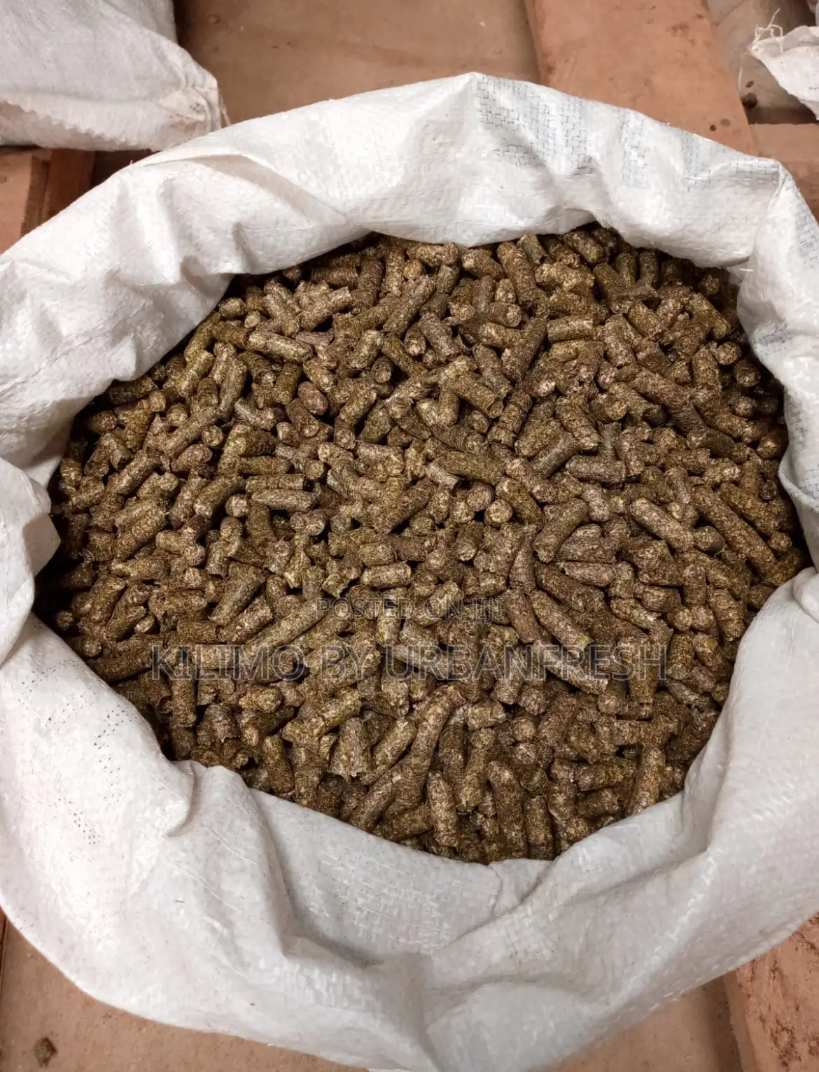 Pure Lucern Pellets 25kgs