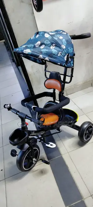 Kids Push Handsome Tricycle With a Shade
