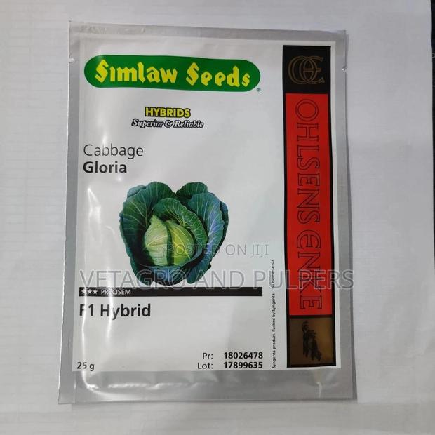 Cabbage Gloria F1 Hybrid Seeds