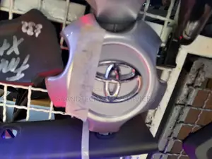 Vanguard Wheel Hub Cover