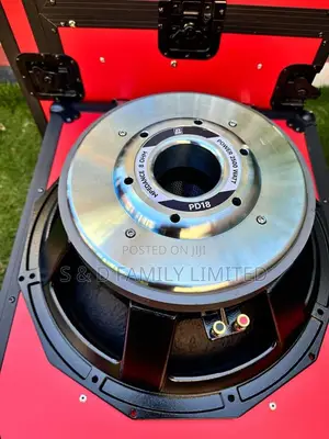 New Model PD 18 Bass Speaker